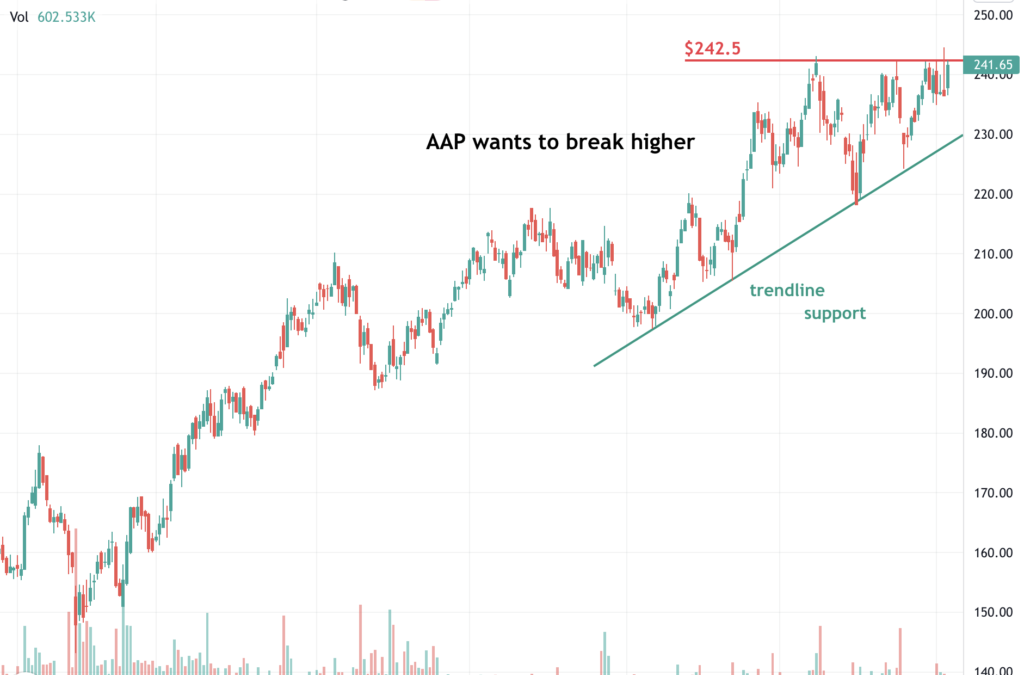 Advance Auto Parts, Inc. (AAP) Wants to Break Higher