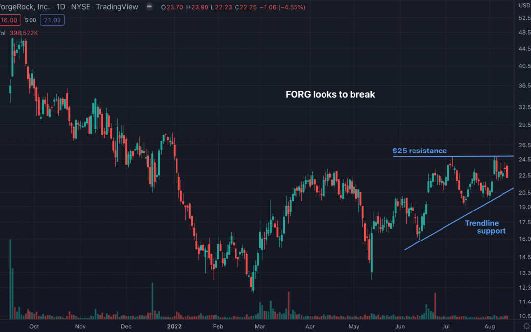 ForgeRock, Inc. (FORG) Looks Ready To Make A Move